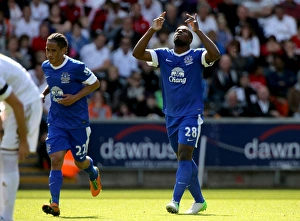 Barclays Premier League - Swansea City v Everton - Liberty Stadium Barclays Premier League - Swansea City v Everton - Liberty Stadium