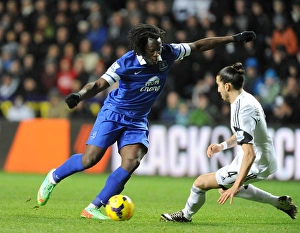 Swansea City 1 V Everton 2 : Liberty Stadium : 22-12-2013 Prints: Barclays Premier League - Swansea City v Everton - Liberty Stadium