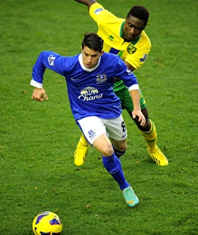 Everton 1 V Norwich City 1 : Goodison Park : 24-11-2012 Prints: Battle for the Ball: Oviedo vs