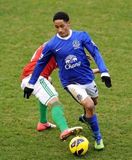 Images Dated 12th January 2013: Battle for the Ball: Pienaar vs. Chico - Everton vs. Swansea City