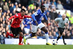 Everton 2 V Cardiff City 1 : Goodison Park : 15-03-2014 Prints: Battle for the Ball: Romelu Lukaku vs