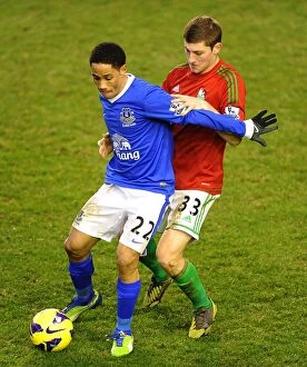 Images Dated 12th January 2013: Battle at Goodison Park: A Draw Between Pienaar and Davies (Everton vs Swansea City)