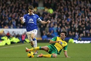 Images Dated 11th January 2014: Battle at Goodison Park: Seamus Coleman vs Javier Garrido