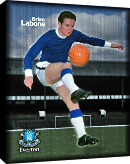 Special Editions Collection: Brian Labone Duo Retro Canvas