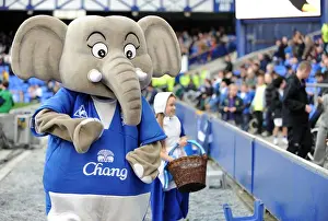 Changi the Elephant Roars: Everton vs Aston Villa at Goodison Park, Barclays Premier League