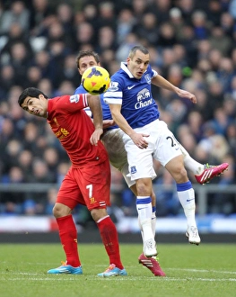 Everton 3 V Liverpool 3 : Goodison Park : 23-11-2013 Prints: Clash at Goodison: Osman and Jagielka vs. Suarez - Everton vs. Liverpool (3-3)