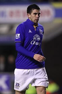 Images Dated 4th January 2012: Denis Stracqualursi Scores the Winning Goal for Everton Against Bolton Wanderers at Goodison Park