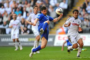 Denis Stracqualursi's Determined Shot: Everton vs Swansea City, Barclays Premier League (24 March 2012, Liberty Stadium)