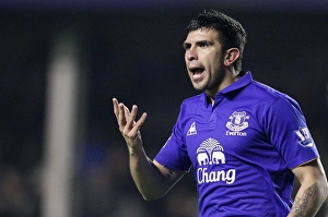 Denis Stracqualursi's Premier League Debut: Everton vs Manchester City (31 January 2012), Goodison Park