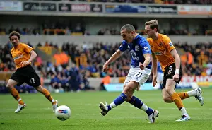 06 May 2012 V Wolverhampton Wanderers, Molineux Stadium Prints: Determined Moment: Leon Osman's Shot for Everton at Molineux Stadium (06 May 2012)