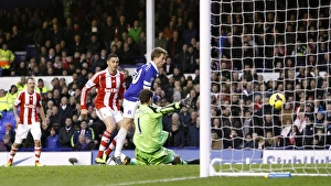Everton 4 V Stoke City 0 : Goodison Park : 30-11-2013 Prints: Deulofeu Strikes First: Everton's Dominant 4-0 Win Over Stoke City (BPL, 30-11-2013)