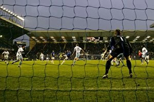 Images Dated 24th January 2011: Diniyar Bilyaletdinov Scores First Goal for Everton: Everton vs. West Ham United