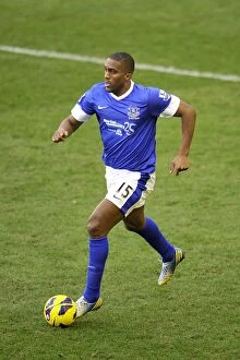 Images Dated 2nd February 2013: Dramatic Distin: Everton vs. Aston Villa's 3-3 Thriller at Goodison Park (Barclays Premier League)