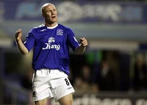 Everton v Arsenal (November) Gallery: Everton v Arsenal Carling Cup Fourth Round Andrew Johnson during the game