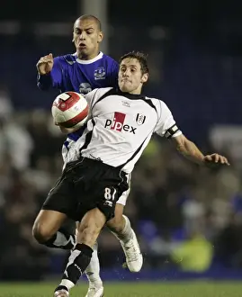 Everton v Fulham James Vaughan and Fulhams Michael Brown