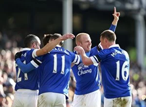 FA Cup : Round 5 : Everton 3 v Swansea City 1 : Goodison Park : 16-02-2014 Collection: Everton's FA Cup Triumph: Naismith's Brace Secures Victory over Swansea City (16-02-2014)