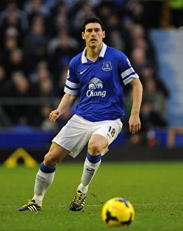Everton 2 v Norwich City 0 : Goodison Park : 11-01-2014 Collection: Everton's Gareth Barry Shines: 2-0 Victory Over Norwich City (January 11, 2014, Goodison Park)