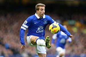 Everton 4 V Stoke City 0 : Goodison Park : 30-11-2013 Prints: Everton's Gerard Deulofeu Shines in Premier League Victory over Stoke City (30-11-2013)