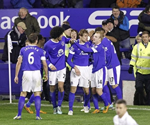 Everton 2 V Tottenham Hotspur 1 : Goodison Park : 09-12-2012 Prints: Everton's Jelavic Scores Double: 2-1 Victory Over Tottenham Hotspur (09-12-2012)