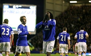 Everton 4 V Stoke City 0 : Goodison Park : 30-11-2013 Prints: Everton's Romelu Lukaku Scores Fourth Goal Against Stoke City in Premier League