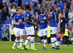 Everton v Middlesbrough - Goodison Park Collection: Everton's Romelu Lukaku Scores Third Goal: Everton 3-0 Middlesbrough (Premier League)