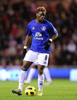 Images Dated 9th December 2010: Everton's Star Striker: Louis Saha on the Pitch