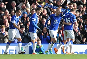 FA Cup Prints: Everton's Steven Naismith Celebrates FA Cup Goal Against Swansea City (16-02-2014)