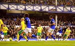 Images Dated 17th December 2011: Everton's Unforgettable Goal: Royston Drenthe's Strike Against Norwich City (17 December 2011)
