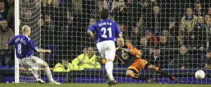 Football - Everton v Blackburn Rovers FA Cup Third Round - Goodison Park - 7 / 1 / 07 Andrew Johnson sco