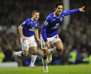 2009 Gallery: Football - Everton v Hull City - Barclays Premier League