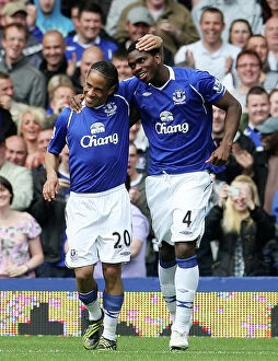 Images Dated 16th May 2009: Football - Everton v West Ham United Barclays Premier