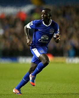Capital One Cup Prints: Francisco Junior's Dramatic Winner: Everton Triumphs Over Leeds United in Capital One Cup