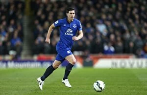 Images Dated 4th March 2015: Gareth Barry in Action: Everton vs Stoke City, Premier League - Britannia Stadium