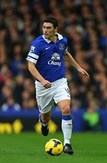Images Dated 30th November 2013: Gareth Barry's Brilliant Performance: Everton Crushes Stoke City 4-0 in Premier League