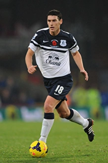 Crystal Palace 0 V Everton 0 : Selhurst Park : 09-11-2013 Prints: Gareth Barry's Leadership: A Scoreless Stalemate - Crystal Palace vs