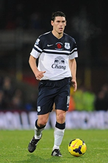 Crystal Palace 0 V Everton 0 : Selhurst Park : 09-11-2013 Prints: Gareth Barry's Leading Performance: Crystal Palace vs
