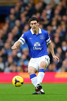 Gareth Barry's Stellar Performance: Everton's 4-0 Thrashing of Stoke City (November 30, 2013)