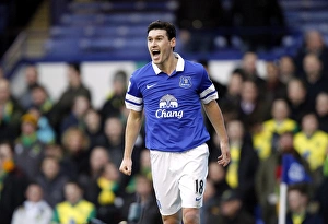 Everton 2 V Norwich City 0 : Goodison Park : 11-01-2014 Prints: Gareth Barry's Strike: Everton Takes the Lead Against Norwich City (11-01-2014)