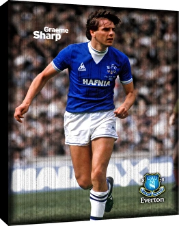 Special Editions Collection: Graeme Sharp Retro Canvas