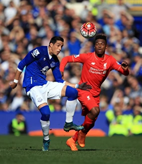Everton V Liverpool - Goodison Park Prints: Intense Rivalry on the Pitch: Funes Mori vs. Sturridge
