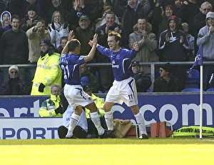 Everton v Aston Villa Gallery: James McFadden and Leon Osman