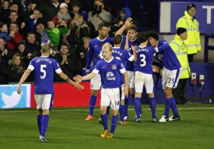 Jelavic Scores Everton's Second Goal Against Sunderland in Barclays Premier League (10-11-2012)
