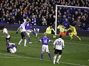 Everton 2 V Tottenham Hotspur 1 : Goodison Park : 09-12-2012 Prints: Jelavic Strikes Back: Everton's Comeback Goal vs. Tottenham Hotspur (2-1)