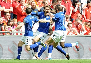 Jelavic Stuns Liverpool: Everton's FA Cup Semi-Final Goal at Wembley