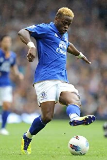 Images Dated 20th August 2011: Louis Saha in Action: Everton vs Queens Park Rangers, Barclays Premier League (2011), Goodison Park