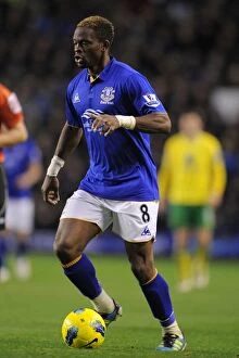 Images Dated 17th December 2011: Louis Saha's Stunner: Everton's Victory Over Norwich City (17 December 2011, Goodison Park)