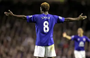 Framed Print : Louis Saha's Stunning Game-Winning Goal for Everton vs. Wigan Athletic (BPL, 11 December 2010, Goodison Park) Framed Print : Louis Saha's Stunning Game-Winning Goal for Everton vs. Wigan Athletic (BPL, 11 December 2010, Goodison Park)