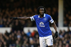 Lukaku's Struggle: Everton's Bittersweet Loss to Sunderland (December 26, 2013)