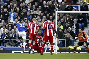 Marouane Fellaini Scores Third Goal: Everton's Victory Over Stoke City, Barclays Premier League, Goodison Park, March 14, 2009
