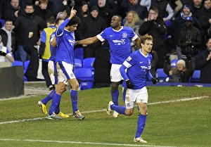 Everton 3 V Aston Villa 3 : Goodison Park : 02-02-2013 Prints: Marouane Fellaini's Hat-Trick Thrills in Everton's 3-3 Draw Against Aston Villa (Barclays Premier League)